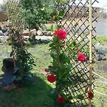 Soleario Country house La Oliva