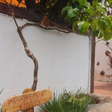 Soleario * Ла-Олива