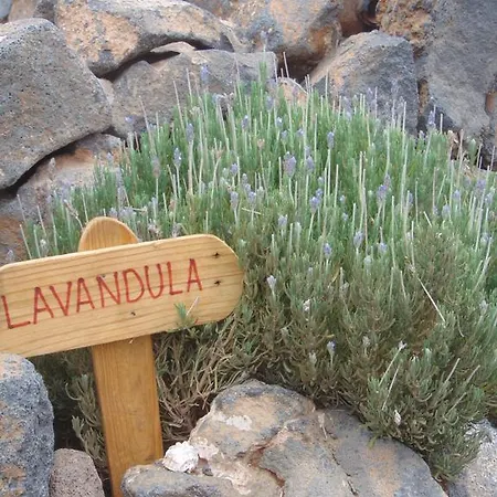 Landhuis Soleario