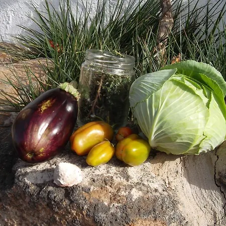 منزل ريفي Soleario لا أوليفا