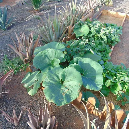 Летний дом Soleario