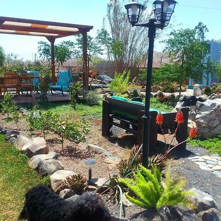 Soleario * لا أوليفا