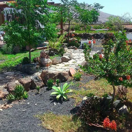 Soleario * لا أوليفا