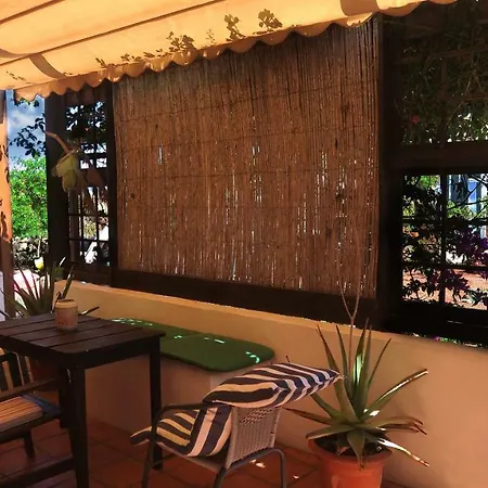 Soleario لا أوليفا