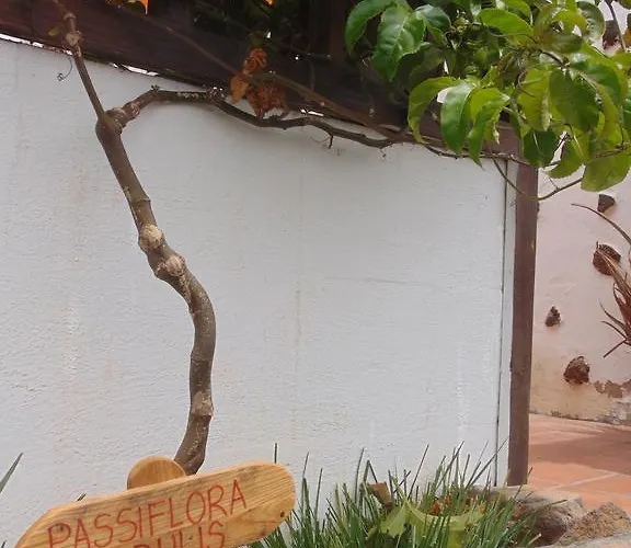 Soleario * לה אוליבה