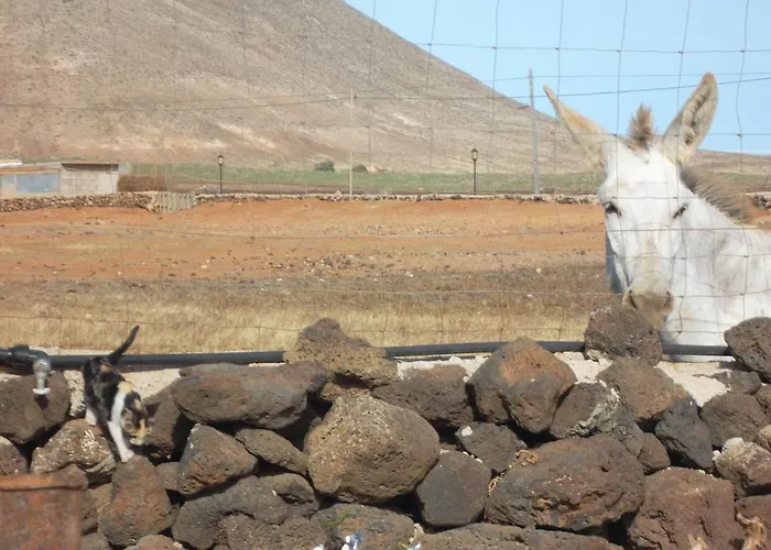 컨트리하우스 Soleario 라 올리바