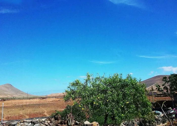 בית כפרי Soleario לה אוליבה