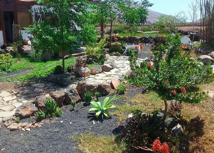 Soleario * לה אוליבה