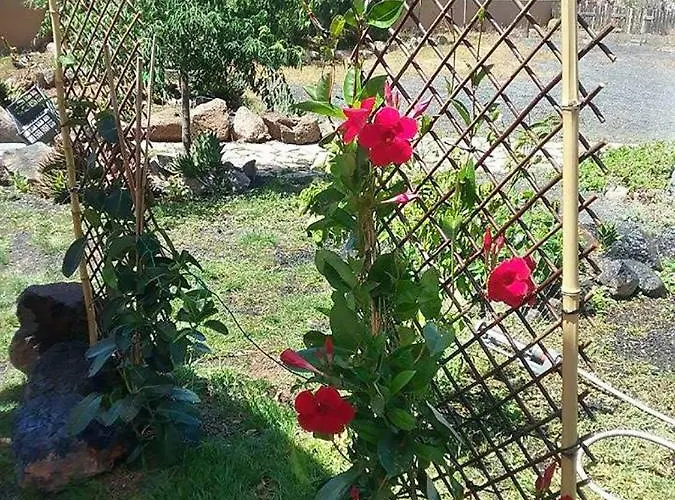 Soleario בית כפרי לה אוליבה