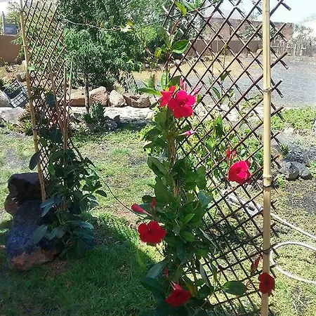 Soleario Kır Evi La Oliva