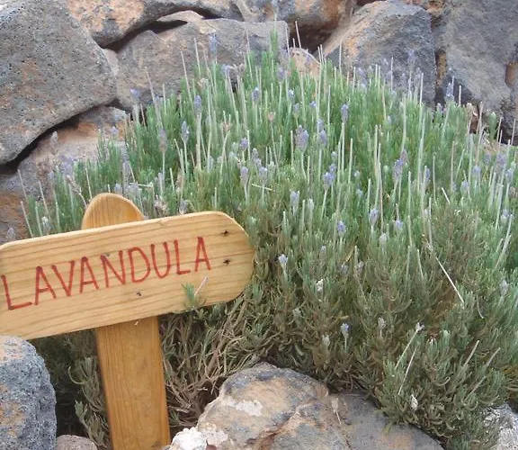 منزل ريفي Soleario