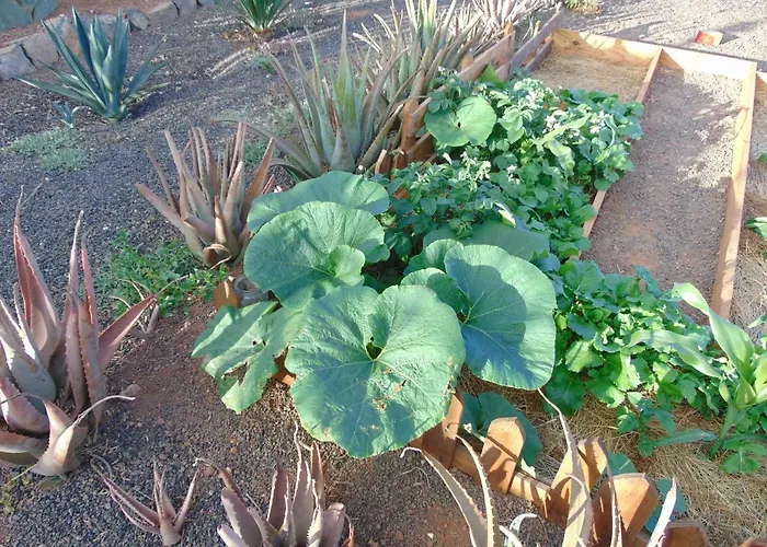 منزل ريفي Soleario