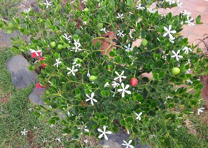 Gospodarstwo wiejskie Soleario