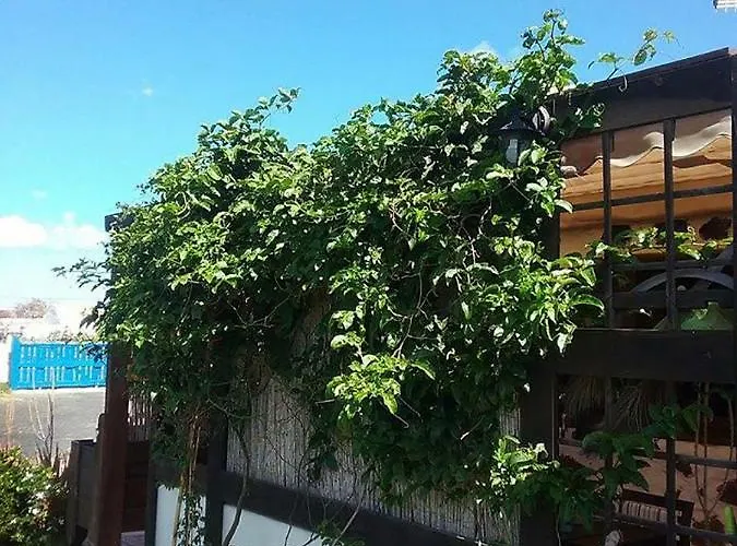 منزل ريفي Soleario