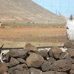 Kır Evi Soleario La Oliva